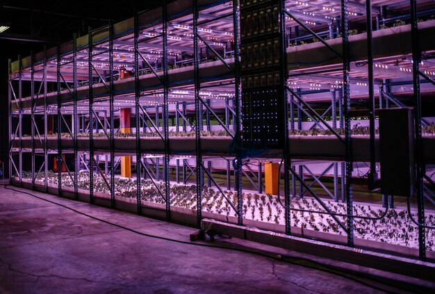 E-commerce Logistics ETFs: Diversify Your Fulfillment Investments